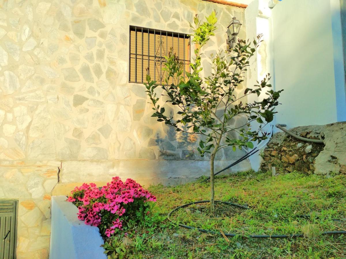 Villa Las Encinas Costa Del Sol Torrox Eksteriør billede
